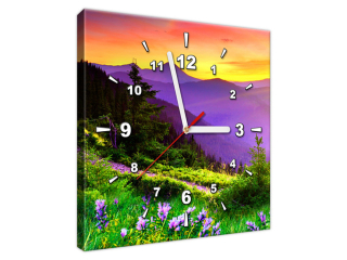 Obraz na stenu s hodinami Kvetnatá lúka