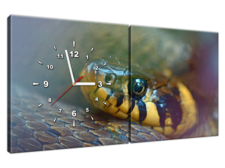 Obraz s hodinami Trávny had