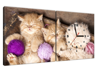 Obraz s hodinami na plátne Spiace mačiatka v miske