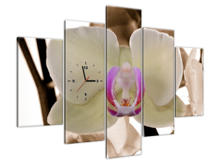 Nástenný obraz s hodinami Biela orchidea