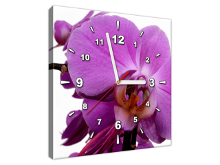 Nástenné hodiny na plátne Fialová orchidea