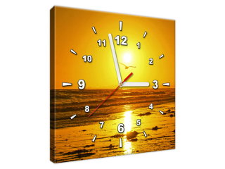 Obraz s hodinami Čajka v slnku - Damian Gadal