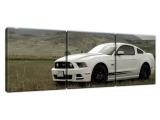 Obraz Mustang GT V8 - Brett Levin