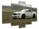 Obraz Mustang GT V8 - Brett Levin