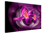 Obraz na stenu Ružové kozmické kvety - Jakub Banas