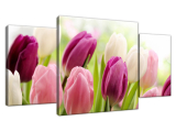 Luxusný obraz Krásne tulipány