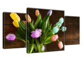 Obraz Farebné tulipány