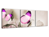 Obraz na plátne Motýli raj