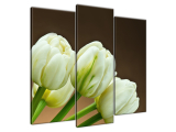 Obraz tulipány bielej farby