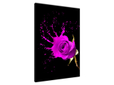 Obraz na stenu Ružový splash