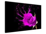 Obraz na stenu Ružový splash