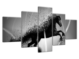 Obraz Fragmentácia Čierno biely kôň - Jakub Banas