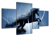 Fragmentácia Modrý kôň - Jakub Banas