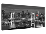 Obraz Dúhový most  Tokiu