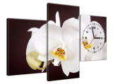 Obraz s hodinami na plátne Pekná orchidea