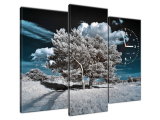 Luxusný obraz s hodinami Hrubé stromy