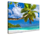 Obraz Tropická scenéria - Seychely