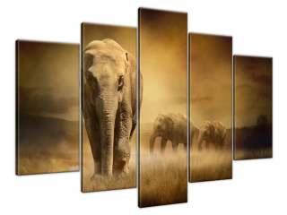 Obraz na stenu Zatúlané sloníča