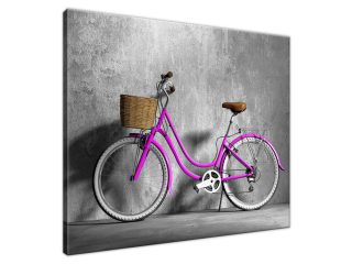 Luxusný obraz Fialový bicykel