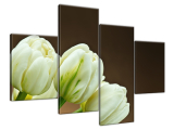 Obraz tulipány bielej farby