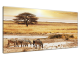 Obraz na stenu Safari