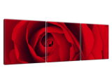 Abstraktný obraz Červená ruža
