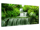 Obraz prírody Vodopád v dažďovom pralese