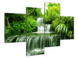 Obraz prírody Vodopád v dažďovom pralese