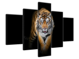 Moderný obraz na stenu Tiger
