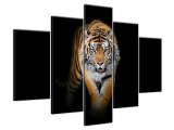 Moderný obraz Tiger