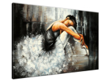 Obraz do izby na stenu Zmyselný balet