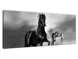 Štýlový obraz Čierny kôň