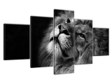 Moderný obraz na stenu Strieborný lev