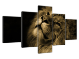 Zlatý lev Štýlový obraz na stenu