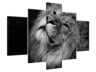 Štýlový obraz na stenu Strieborný lev s modrými očami