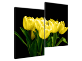 Obraz na plátne Žlté tulipány - Mark Freeth