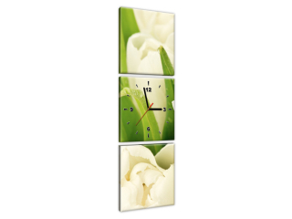 Moderný obraz s hodinami Krásne tulipány
