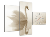 Obraz na stenu s hodinami Nežná labuť