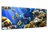 Moderný obraz s hodinami Korálový útes