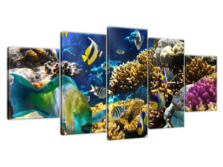 Moderný obraz s hodinami Korálový útes