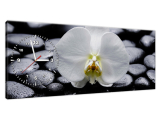 Moderný obraz s hodinami Biela orchidea
