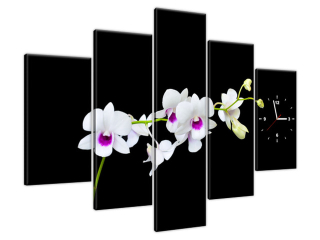 Obraz s hodinami Vetvička orchidey