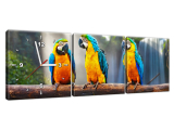 Luxusne hodiny na stenu Tri papagáje