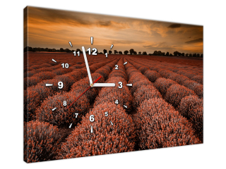 Obraz s hodinami Oslňujúce levandule v oranžovej farbe