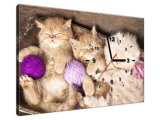 Obraz s hodinami na plátne Spiace mačiatka v miske